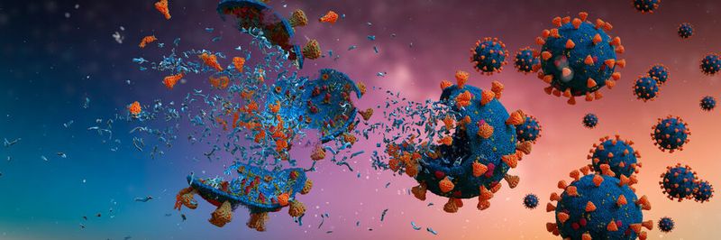 The researchers showed that the CAP, a plasma-based disinfection method is a better alternative to environmentally hazardous chemical-based decontamination methods.  (dottedyeti - stock.adobe.com)