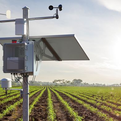Dank energieautarker Systeme lassen sich Messdaten bei jedem Wetter an jedem Standort sicher erfassen. (Bild: Phoenix Contact)