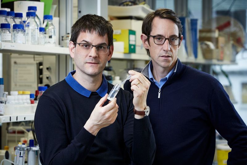 Die Chemieingenieure Robert Grass und Wendelin Stark haben ein zuverlässiges Datenspeicherungsverfahren entwickelt, bei dem digitale Daten auf DNA-Strängen verschlüsselt und in schützenden Glaskügelchen eingeschlossen werden. Dieses Verfahren ermöglicht es, Daten über Jahrtausende vor Verfall zu schützen.  (EPA)
