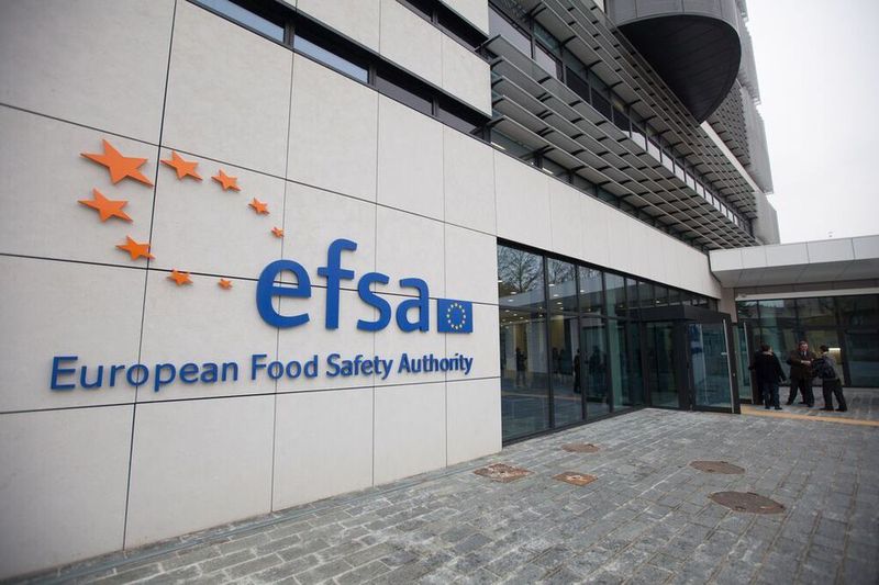 The four PFAS that EFSA’s assessment focused on are perfluorooctanoic acid, perfluorooctane sulfonate, perfluorononanoic acid, and perfluorohexane sulfonic acid. (EFSA)