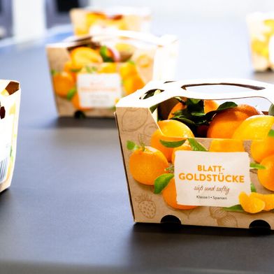Habasit präsentiert auf der Fachmesse Interpack ein sein Portfolio an Förder- und Antriebslösungen für die Verpackungs- und Lebensmittelindustrie. (Bild: Habasit)