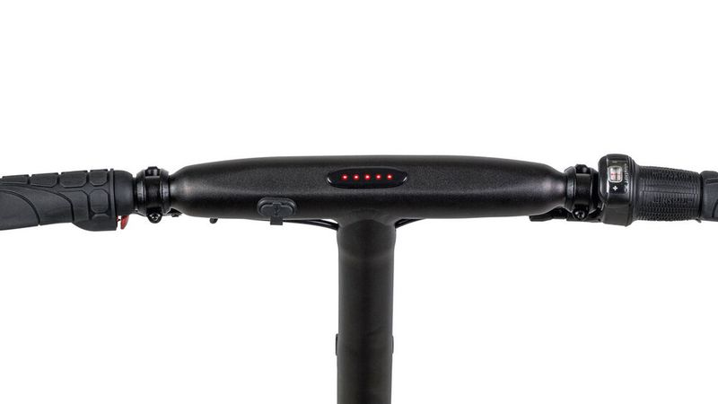Das einfache G4 bietet ein übersichtliches Cockpit. Die fünf kleinen Dioden vermitteln alle wichtigen Informationen. (Gocycle)
