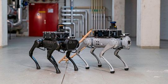 Wollen nicht nur spielen: Die Roboterhunde sollen künftig beispielsweise sehbehinderten Personen zur Seite stehen. Dafür erhalten sie von den Forschenden eine neue KI-unterstützte Steuerung. (Bild:  Marco Giordano / Zentrum für projektbasiertes Lernen D-ITET, ETH Zürich)