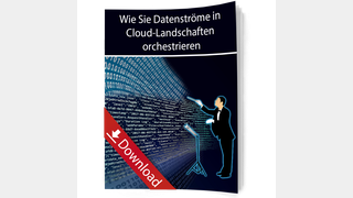 Whitepaper Cover: pixaby.com-3020019