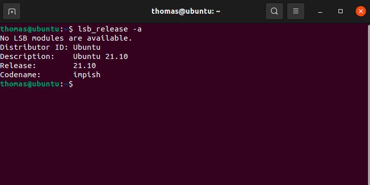 Anzeigen der installierten Ubuntu-Version auf dem Linux-SQL-Server. (Bild: Joos / Canonical)