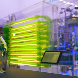 Festo hat auf dem Messegelände einen Bioreaktor aufgebaut, der CO2 bindet, Algen züchtet und am Ende ein Öl produziert, das herkömmliches Mineralöl in Produkten ersetzen könnte.(Bild:  Sandro Kipar/VCG)