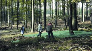1	 Ernte von Bucheckern mithilfe von ausgelegten Netzen in einem zugelassenen Bestand. Bild: Nordwestdeutsche Forstliche Versuchsanstalt (Archiv: Vogel Business Media)