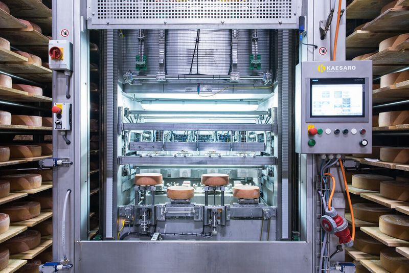 Der Schweizer Unternehmen Kaesaro schließt Sensoren und Aktoren in Käsekeller-Robotern mit F&B-Pro-Steckverbindern von Murrelektronik an. (Kaesaro)