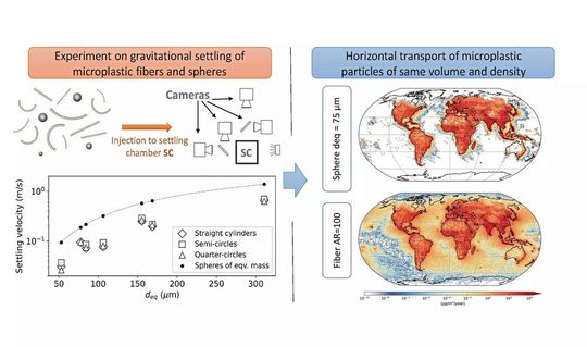 Ein interdisziplinäres Team der Universität Wien, Österreich, und des Max-Planck-Instituts für Dynamik und Selbstorganisation in Göttingen, Deutschland, kombinierte Laborexperimente und Modellsimulationen: Die Forscher*innen ermittelten zunächst experimentell, wie schnell sich Mikroplastikfasern in der Atmosphäre absetzen. Anschließend implementierten sie die Ergebnisse in ein globales atmosphärisches Transportmodell. Die Unterschiede zwischen Fasern und kugelförmigen Partikeln waren überraschend groß: Fasern mit einer Länge von bis zu 1,5 mm erreichen demnach die entferntesten Orte der Erde, bis hin zur Stratosphäre.(Bild:  © Daria Tatsii, Universität Wien & Taraprasad Bhowmick, MPI-DS)