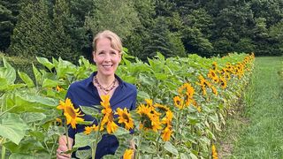 Prof. Brigitte Poppenberger im Sonnenblumenfeld (Bild: Tobias Sieberer)