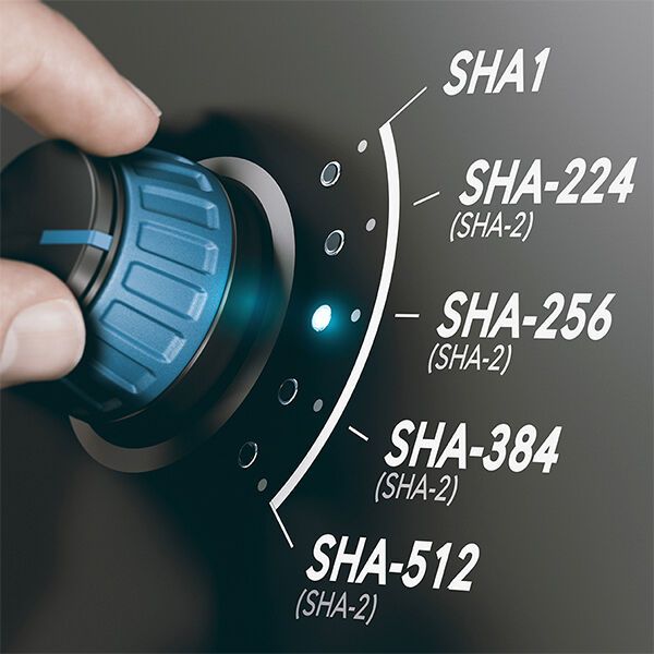 Active-Directory-Zertifikatdienste auf einen neuen Server migrieren So aktivieren Sie SHA-2 und Key Storage ProviderIn vielen Umgebungen sind die Active-Directory-Zertifikatdienste nicht optimal eingestellt und nutzen nicht aktuelle Verschlüsselungstechnologien wie SHA-2. Das lässt sich durch eine Migration aber erledigen. Zum Artikel  (Bild: © Olivier Le Moal - stock.adobe.com)