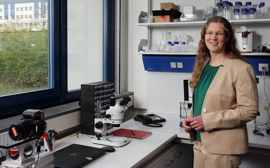 Wie sich Mikroantriebe in Sachen Effektivität und Design am besten bauen lassen, untersucht Juniorprofessorin Clarissa Schönecker an der Technischen Universität Kaiserslautern. Licht und Wärme gehören dabei zu den Hilfsmitteln der Wahl. Hier mehr dazu... Wie sich Mikroantriebe in Sachen Effektivität und Design am besten bauen lassen, untersucht Juniorprofessorin Clarissa Schönecker an der Technischen Universität Kaiserslautern. Licht und Wärme gehören dabei zu den Hilfsmitteln der Wahl. Hier mehr dazu...