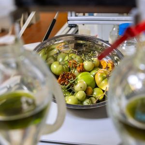 Sustainable aircraft fuel is to be made from tomato production residues such as leaves, stems, seeds, skins, as well as unripe and moldy fruits.(Image: TU Graz/ Helmut Lunghammer)