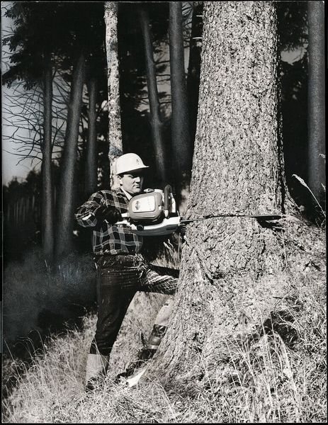Forstarbeiter fällt einen Baum im Wald mit einer Stihl Contra Motorsäge. (Bild: Stihl)