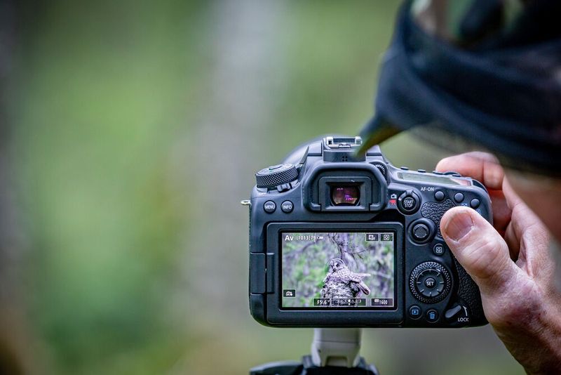 Die EOS 90D bietet zwei Multifunktions-Wahlräder und auf der Rückseite der Kamera den neuen Multi-Controller. (Canon)