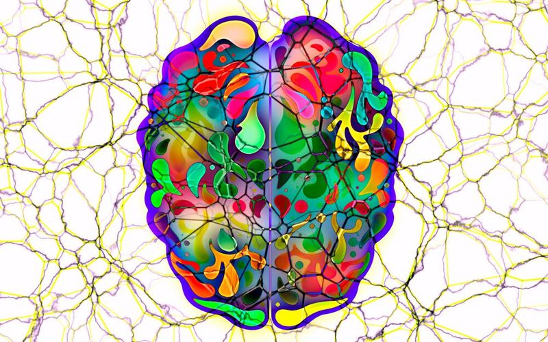 Chunken: Normalleser springen von einem Wort zum nächsten. Das kostet Zeit und behindert das Verständnis. „Chunken“ bedeutet, ganze Satzteile aufzunehmen. Dabei sind weniger Augenstopps (Fixierungen) erforderlich und Sie lesen in sinnvollen Einheiten. (Bild: gemeinfrei)