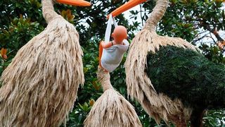 Viele Paare helfen ihrem Kinderwunsch mittlerweile mit technischen Mitteln nach. (gemeinfrei)