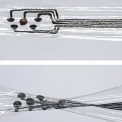 SIRES-basierte Bioelektronik beim Dehnen (oben) und Verdrehen (unten).  (Bild: Wei Gao Lab/Caltech)