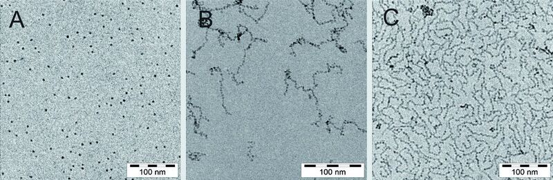 Abb. 3: Cryo-TEM-Aufnahmen von einzelnen und in Ketten assoziiert vorliegenden Nanopartikeln. Die Belegungsdichte mit Polymeren nimmt von A) nach C) ab.  (Bild: Inst. f. Physikal. Chem., Uni Hamburg)
