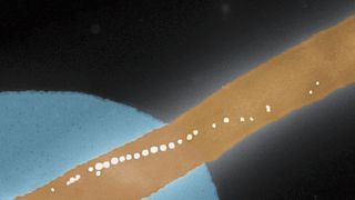 Elektronenmikroskopische, kolorierte Aufnahme der Kette von magnetischen Nanopartikeln eines einzelnen Bakteriums Magnetospirillum gryphsiwaldense, das auf einem Federbalken fixiert wurde. (Bild: M. Claus und M. Wyss, Nano Imaging Lab, Universität Basel)