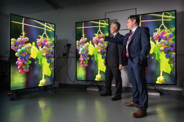 Entwicklungszentrum in Oxford: David Woodward und Graham Cairns begutachten die Performance der neuen 80-Zoll-Displays. (Fisher Studios, Sharp)