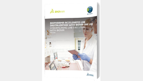 Whitepaper Titelbild Dassault LP