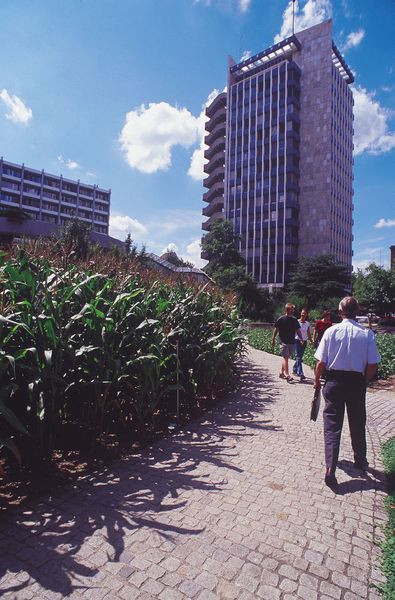 Syngenta-Firmenzentrale in Basel. (Bild: Syngenta)