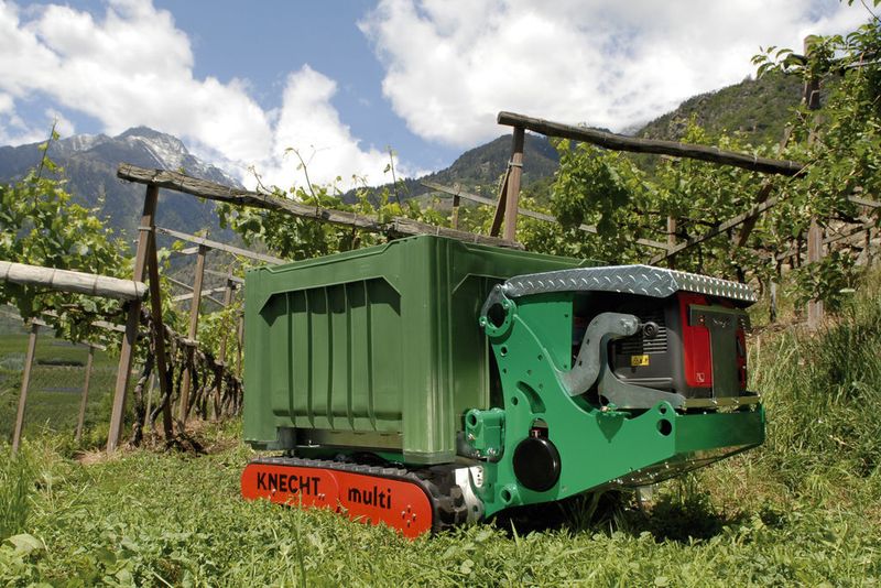 Transportraupe für Weinberge  (Bild: Bermatec)
