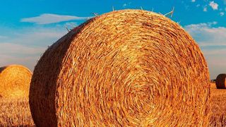 Für den Treibstoff nutzen die Forscherinnen und Forscher am Fraunhofer Umsicht Bioethanol aus Weizenstroh. (gemeinfrei)