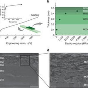 Mechanics and microstructure of synthetic heterogeneous composites with graded patch architecture