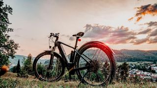 E-Bike überholt Bio-Bike: 2023 wurden in Deutschland erstmals mehr E-Bikes als Fahrräder ohne Motor, also „Bio-Bikes“, verkauft. (Bild: frei lizenziert)