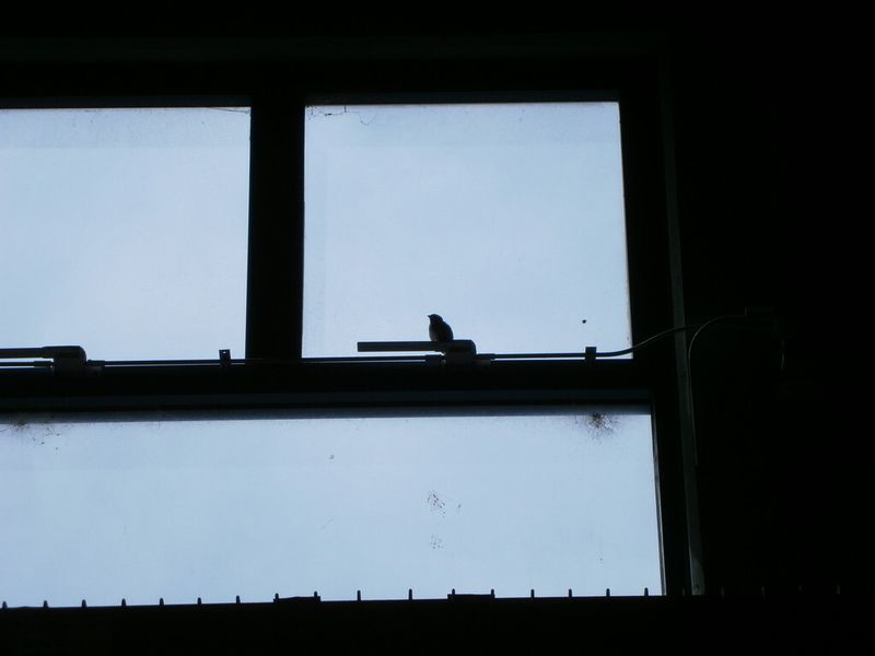 Impressionen aus dem Unternehmen Haas Automation in Oxnard, Californien, USA. (Bild: Königsreuther)