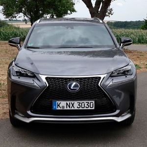 (Foto: Wolfgang Sievernich)