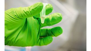 Abwasserprobe vor der Sequenzierung (Bild: Felix Petermann, MDC)