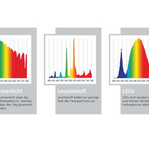 (© Foto Fraunhofer UMSICHT)