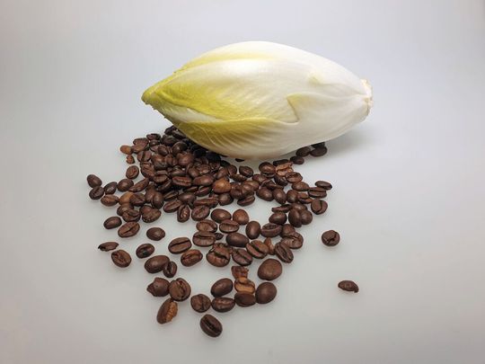 hicorée und Röstkaffee enthalten Bitterstoffe hicorée und Röstkaffee enthalten Bitterstoffe