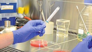 Laborversuch am Bremerhavener Institut für angewandte Molekularbiologie  (Hochschule Bremerhaven )