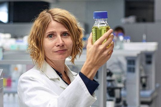 Prof. Dr. Susanne Aileen Funke forscht an der Hochschule Coburg zur Alzheimer-Krankheit.(Bild:  Hochschule Coburg)