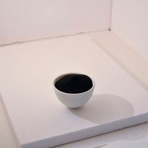 Hard Carbon, gewonnen aus Lignin, einem Nebenprodukt der Holzindustrie, bildet die Basis für die Elektrode der Thüringer Wald-Batterie.(Bild:  Fraunhofer IKTS)