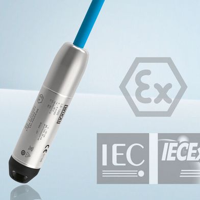 Pegelsonde LS-1000  (Bild: Wika)