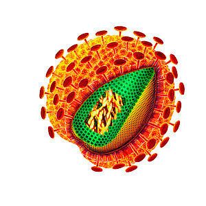 Schnitt durch die Schichten des HI-Virus mit Blick auf das Erbmaterial im Inneren des Virus. (Helmholtz-HZI/Britta Meyer)