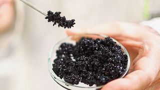 Mit diesen Granulaten wird Arsen aus Trinkwasser entfernt. (Bild: GEH Wasserchemie)