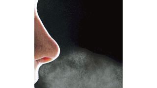 Die menschliche Nase nimmt komplexe Gasgemische – also Gerüche – wahr. (Amadeus Bramsiepe, KIT)