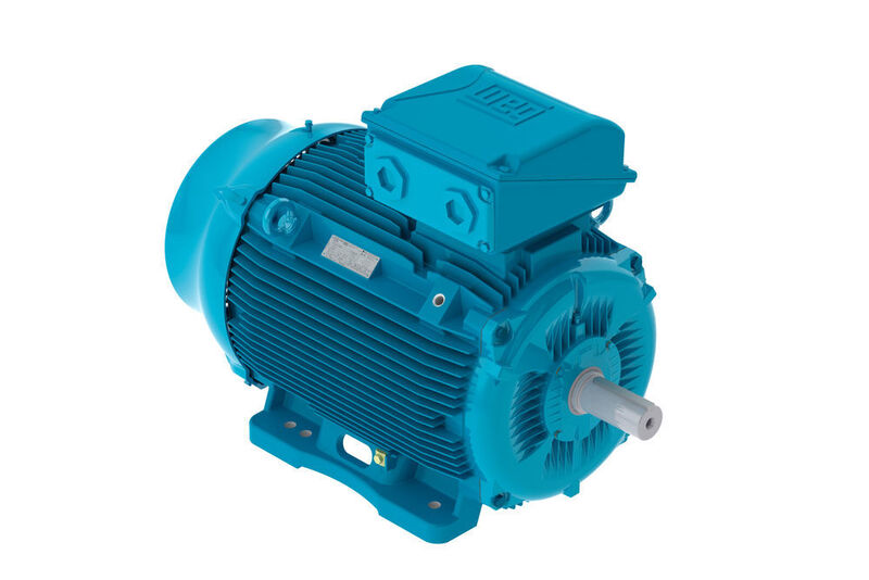 Die Motoren der Baureihe W22Xe sind in Baugrößen von IEC 63 bis 355 und mit Nennleistungen bis 250 kW erhältlich (WEG)