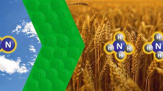 Stickstoff mit der Hilfe von Bor in Ammonium umwandeln: Dieser Reaktionsschritt ist jetzt Würzburger Chemikern gelungen.  (Bild: AG Braunschweig)