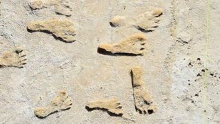 Fossilized footprints in White Sands National Park. (Source: USGS, NPS, Bournemouth University)