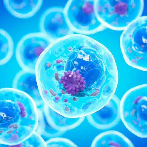 Human cells contain approximately 20,000 protein-encoding genes. Human cells contain approximately 20,000 protein-encoding genes.