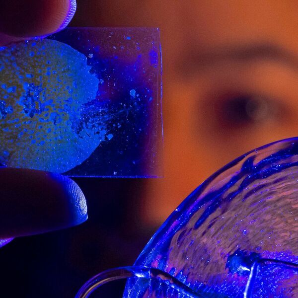 Der hybride Glaswerkstoff verbindet die Schlagfestigkeit und Bruchzähigkeit von Kunststoffen mit der hohen Härte und Steifigkeit anorganischer Gläser.  (Univeristät Jena)