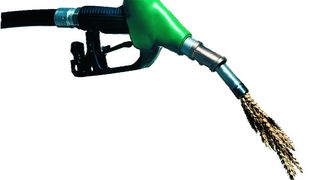 Die Kontrolle der Zusammensetzung von Biodiesel vor der Verarbeitung ist essentiell. (Archiv: Vogel Business Media)