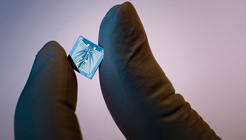 Xsensio zeigt auf der CES 2020 ein völlig neues Produkt für die Healthcare-Branche: den Miniatur-Chip „Lab-on-Skin“, der sich in Wearable-Produkte für das Gesundheitsmonitoring integrieren lässt. Der Lab-on-Skin-Wearable-Chip misst kontinuierlich und in Echtzeit eine breite Palette biochemischer Parameter im Schweiß an der Hautoberfläche - von Elektrolyten und Metaboliten bis hin zu Hormonen und Proteinen, und das mit der Präzision eines Bluttests und der Bequemlichkeit und dem Echtzeit-Feedback eines Wearable-Chips. Dank seiner modularen Plattform deckt der Lab-on-Skin-Chip ein breites Spektrum von Gesundheits- und Wellness-Anwendungen ab. Er lässt sich unter anderem in neuartige Hautpflaster, Armbänder oder Smart Watches einarbeiten. (Xsensio)